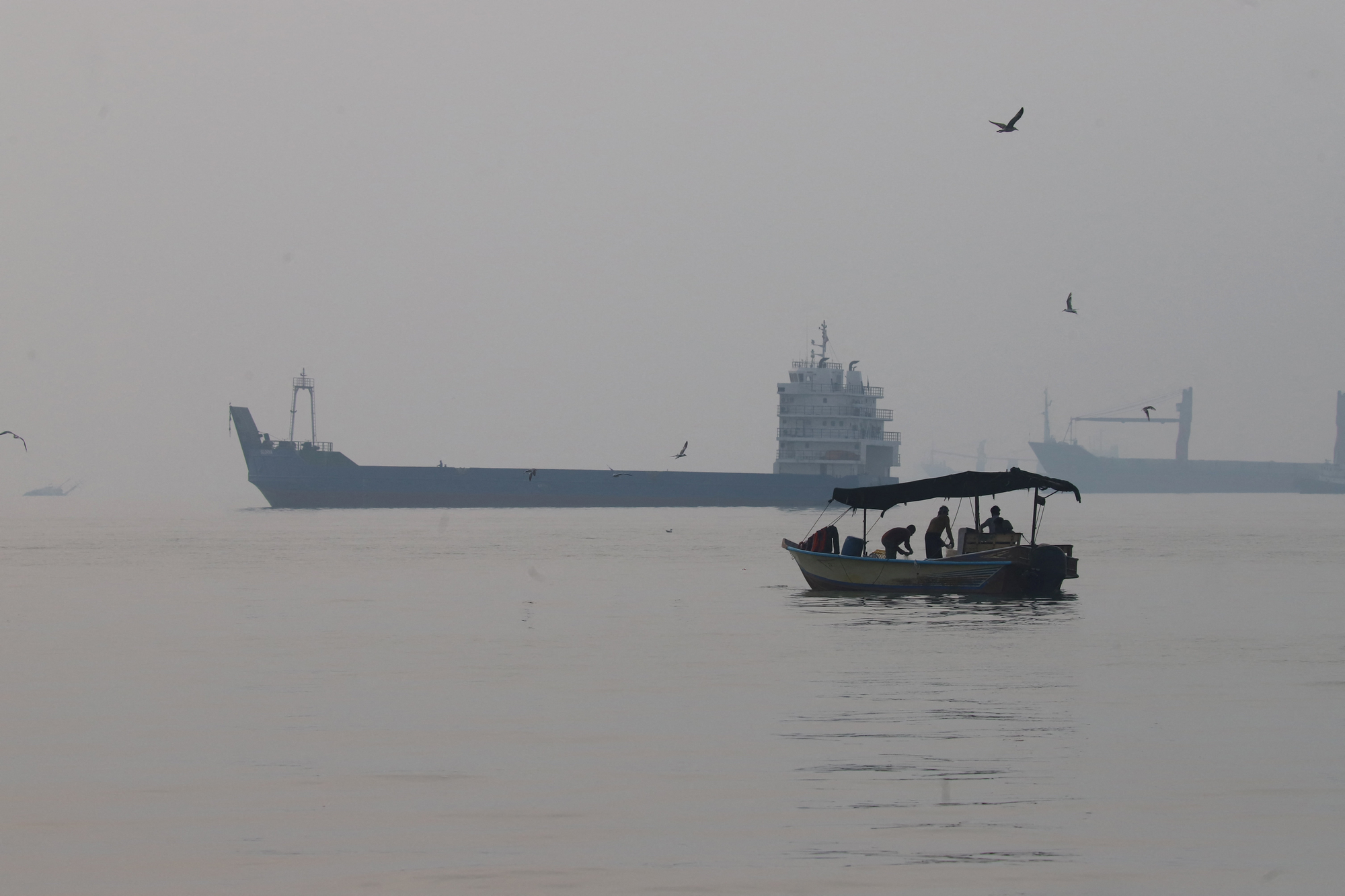 Hormuz Strait Attacks Drive 27% Shipping Decline | E-Commerce Logistics Crisis